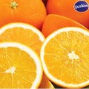 오랜지 이미지