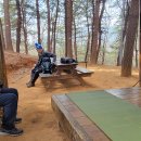 우면산3-29 이미지