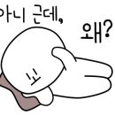 다해포차 네이버블로그