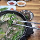 스테이아호이 이미지