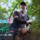 도산태권도장 이미지