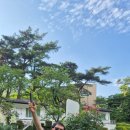 하모니카 연주반 이미지