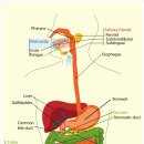 전원한의원 이미지