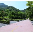 대둔산 수락캠핑장 이미지