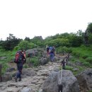 노고단-16 이미지