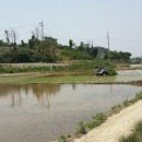 건국제일농장 이미지