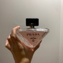 패러독스 | 프라다 패러독스 오 드 퍼퓸 90ml 내돈내산 후기