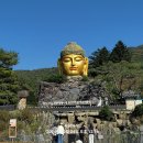 와우정사 이미지