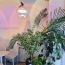 권선구청내부도로 | 권선시장 분위기 좋은 카페는 디저트39 수원권선점