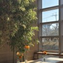 일복빌딩 이미지