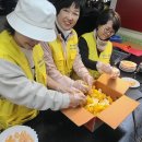 한국교통장애인협회 영주시지회 이미지