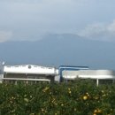 남원읍-29 이미지