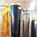 여명식당 이미지