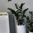 가야카클리닉 | 잠실새내역미용실 미온트헤어에서 받은 프로모션 혜택 대공개!