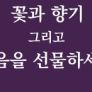 바비쉬