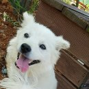 산달펜션 이미지