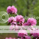 삼척고등학교 이미지