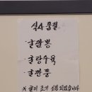 정가네 | 통영 짬뽕 정가네 후기와 동피랑 구경