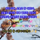 참사랑힐링