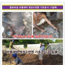 (주)영성 이미지