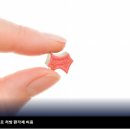 미국: FDA, PTSD 치료제로 환각성 MDMA 금지 이미지