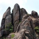 곡성-238 Daum카페