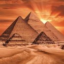 김문성 | 욕구의 심리 Part.1