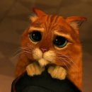 장화신은고양이 이미지