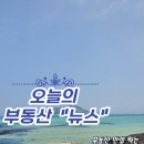 강릉골드 공인중개사사무소 이미지