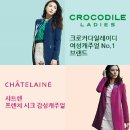 크로커다일레이디뉴코아