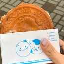 아마스빈 동전빵 내돈내산 솔직후기