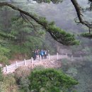 서해반점 이미지