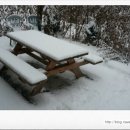 당지농장 이미지