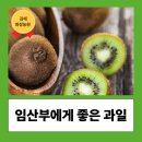 축진농장 네이버블로그