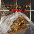 서비나라 | 양산 하수구 막힘 뚫는 업체 대표 설비나라 [양산 변기 막힘으로 오해하신 현장 단번에 해결]