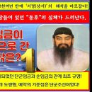 천자로-1 Daum카페