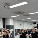 TL태권도 이미지