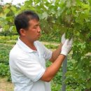 송이농장 이미지