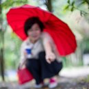 서면의숲 이미지