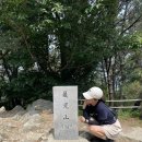 구봉산 도등 | [부산 산행] 구봉산-엄광산 연계산행(중앙공원출발, 등린이, 비추코스)