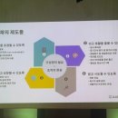 서롤 | 2026 N포럼 후기｜페이스메이커, 우리가 서로의 안전망이 되는 방법