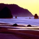 아름다움 이미지