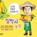 단물식당 이미지