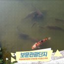 호반정스쿠터 이미지