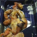 최우영수산 이미지