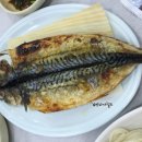 세진여행주 네이버블로그