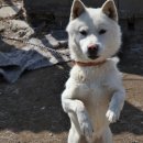 섬진강 트레킹코스 이미지