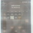성인 발레학원 강서구발레학원 발레 드 뤼미에르 무용학원 후기