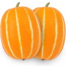 ㈜ 농우바이오 이미지