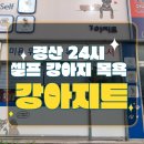 강아지트 이미지